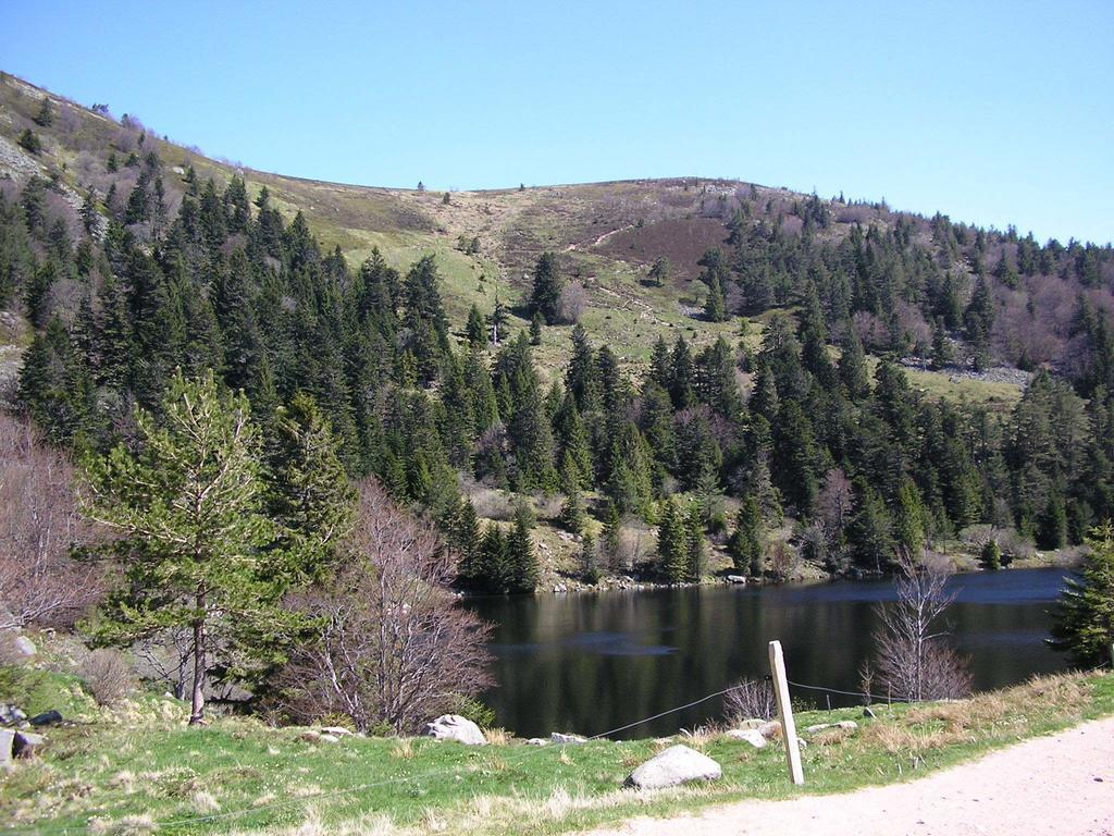 Les Bouquetins Villa Stosswihr Oda fotoğraf