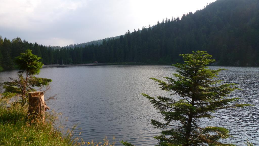Les Bouquetins Villa Stosswihr Oda fotoğraf
