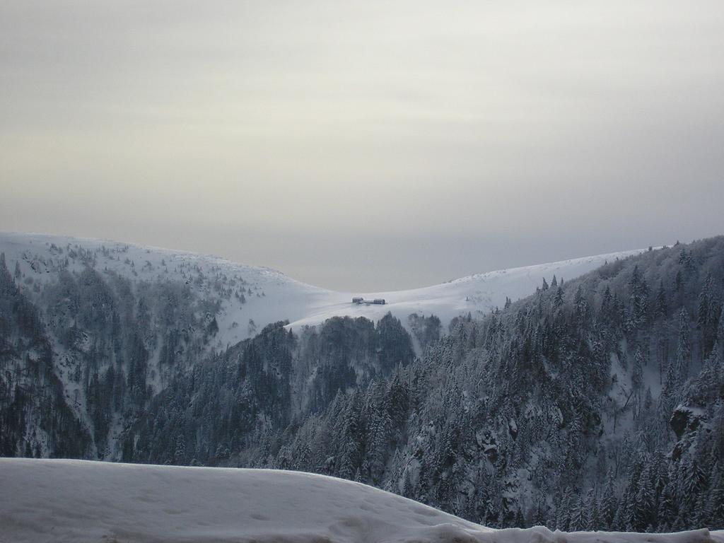 Les Bouquetins Villa Stosswihr Oda fotoğraf