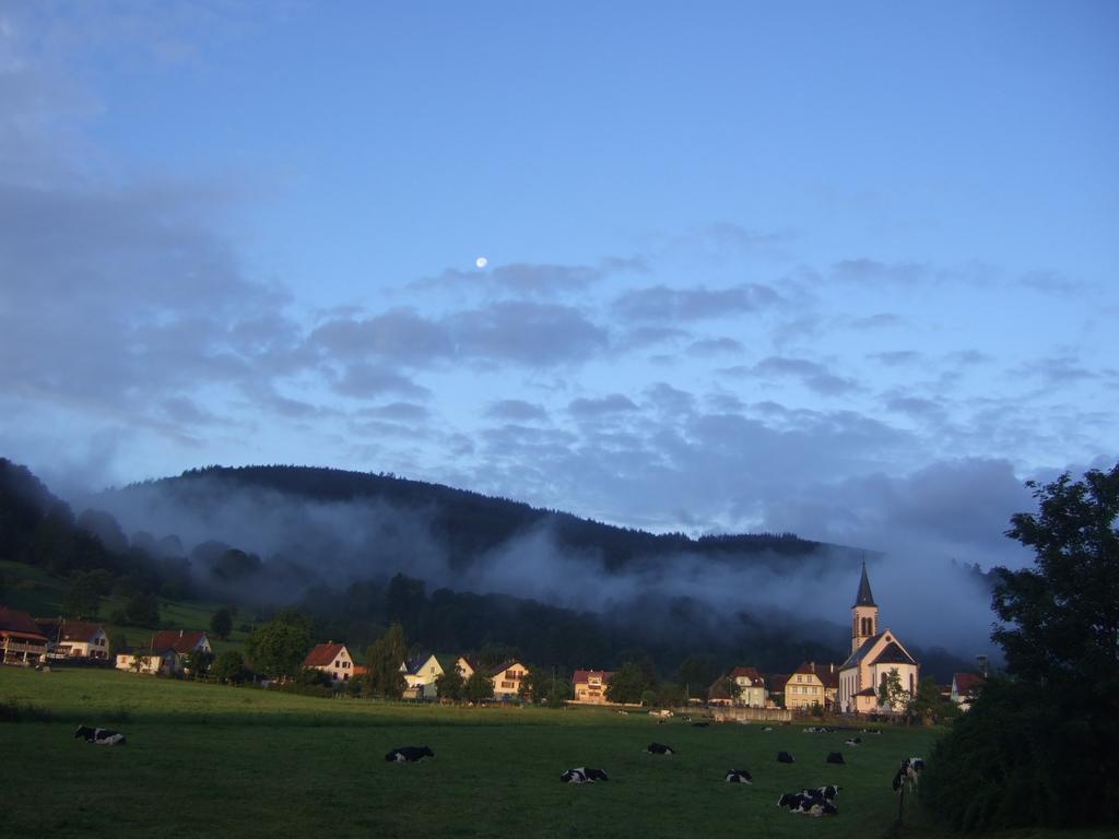 Les Bouquetins Villa Stosswihr Oda fotoğraf